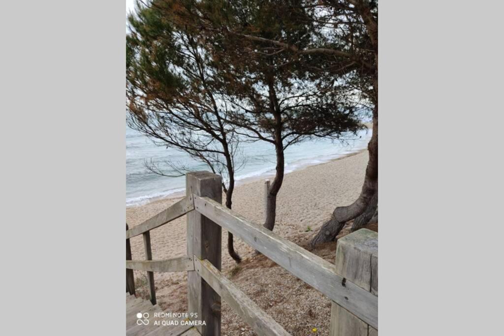 Casa Oliveres Beach En L' Ampolla Villa El Perelló Dış mekan fotoğraf